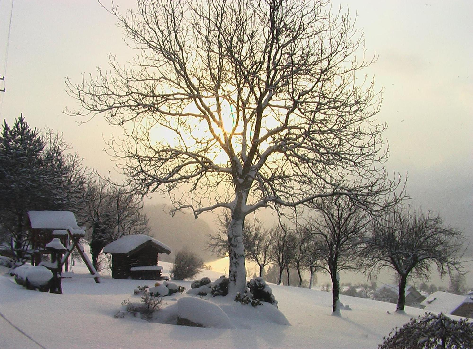 Hauslhof Bed & Breakfast Sankt Wolfgang im Salzkammergut ภายนอก รูปภาพ